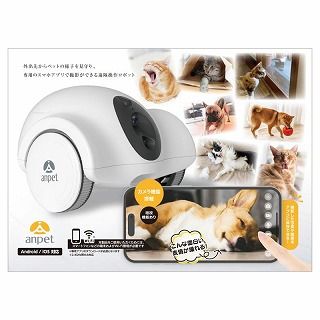 [アンサー]わんにゃん見守り隊