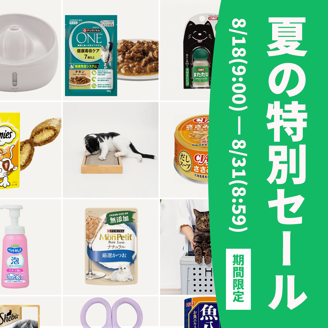 夏の特別セール8/31まで